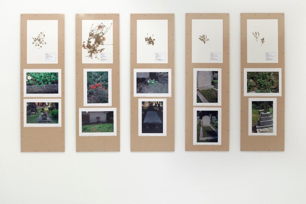 Jef Geys “You don't see what you think you see” — Wiels / Brussels